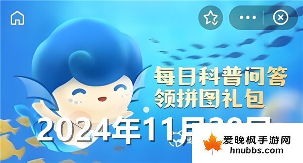 蚂蚁森林神奇海洋今日答案最新2024年11月28日